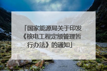 国家能源局关于印发《核电工程定额管理暂行办法》的通知