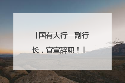 国有大行一副行长，官宣辞职！