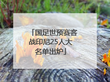 国足世预赛客战印尼25人大名单出炉