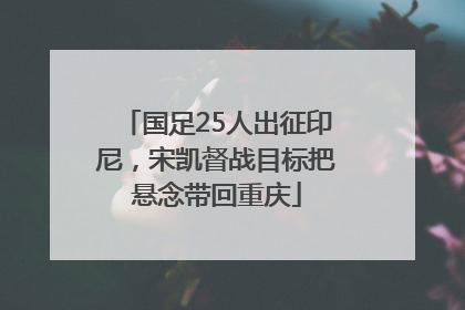 国足25人出征印尼，宋凯督战目标把悬念带回重庆