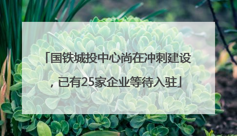 国铁城投中心尚在冲刺建设，已有25家企业等待入驻