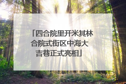 四合院里开米其林 合院式街区中海大吉巷正式亮相