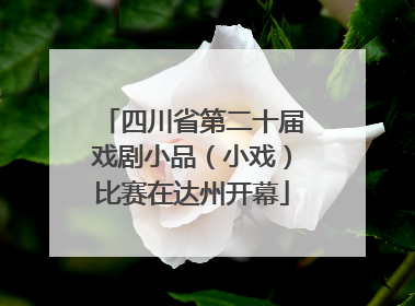 四川省第二十届戏剧小品（小戏）比赛在达州开幕