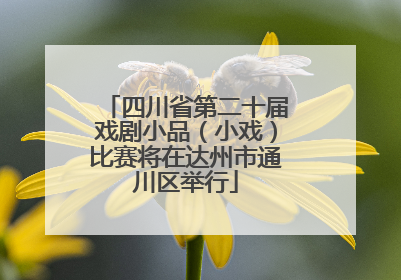 四川省第二十届戏剧小品（小戏）比赛将在达州市通川区举行
