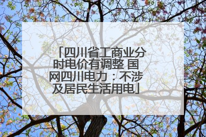 四川省工商业分时电价有调整 国网四川电力：不涉及居民生活用电
