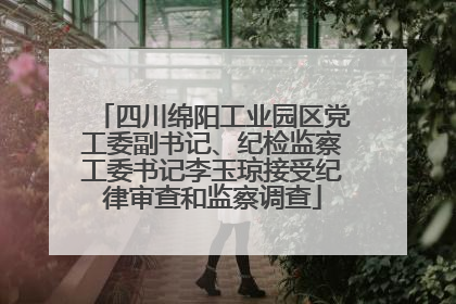 四川绵阳工业园区党工委副书记、纪检监察工委书记李玉琼接受纪律审查和监察调查