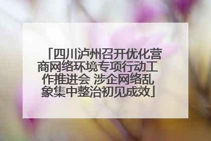 四川泸州召开优化营商网络环境专项行动工作推进会 涉企网络乱象集中整治初见成效