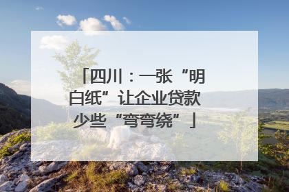 四川：一张“明白纸”让企业贷款少些“弯弯绕”