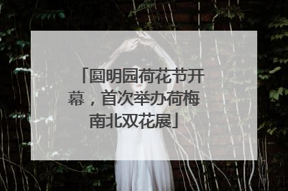 圆明园荷花节开幕，首次举办荷梅南北双花展