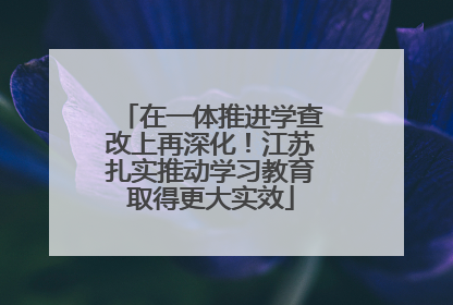 在一体推进学查改上再深化！江苏扎实推动学习教育取得更大实效