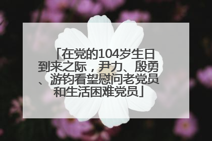 在党的104岁生日到来之际，尹力、殷勇、游钧看望慰问老党员和生活困难党员