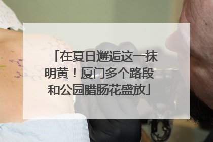 在夏日邂逅这一抹明黄！厦门多个路段和公园腊肠花盛放