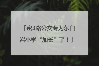 密3路公交专为东白岩小学“加长”了！