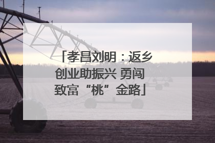 孝昌刘明：返乡创业助振兴 勇闯致富“桃”金路