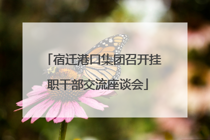 宿迁港口集团召开挂职干部交流座谈会