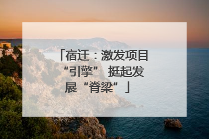 宿迁：激发项目“引擎” 挺起发展“脊梁”