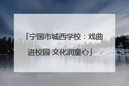宁国市城西学校：戏曲进校园 文化润童心