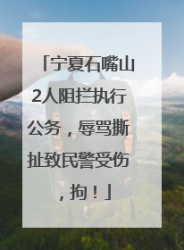 宁夏石嘴山2人阻拦执行公务，辱骂撕扯致民警受伤，拘！