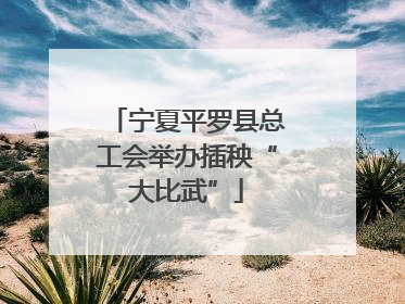 宁夏平罗县总工会举办插秧“大比武”