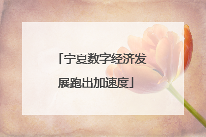 宁夏数字经济发展跑出加速度