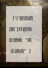 宁夏铁路部门开辟助农增收“黄金通道”