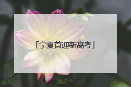 宁夏首迎新高考