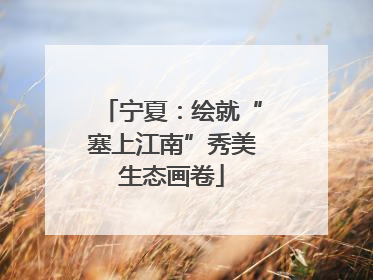 宁夏：绘就“塞上江南”秀美生态画卷