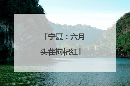 宁夏：六月头茬枸杞红