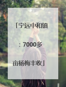 宁远中和镇：7000多亩杨梅丰收