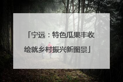 宁远：特色瓜果丰收绘就乡村振兴新图景