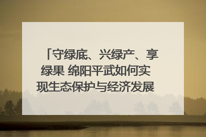 守绿底、兴绿产、享绿果 绵阳平武如何实现生态保护与经济发展双赢？｜新闻发布最前线·深一度