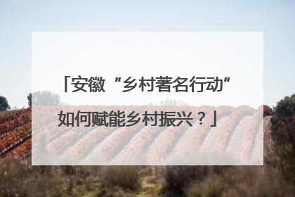 安徽“乡村著名行动”如何赋能乡村振兴？
