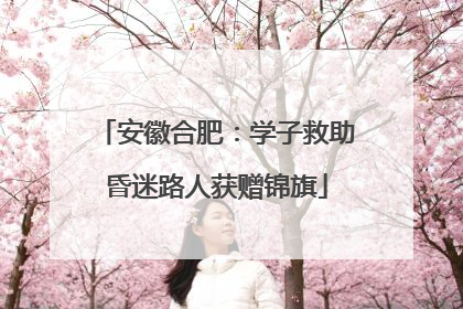 安徽合肥：学子救助昏迷路人获赠锦旗