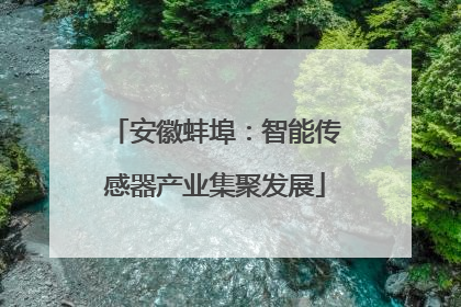 安徽蚌埠：智能传感器产业集聚发展
