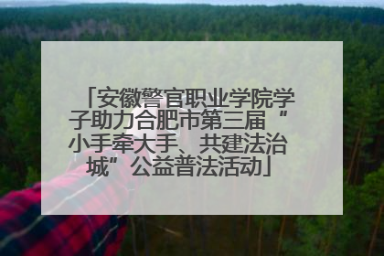 安徽警官职业学院学子助力合肥市第三届“小手牵大手、共建法治城”公益普法活动