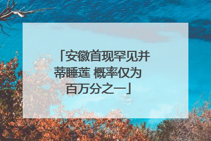 安徽首现罕见并蒂睡莲 概率仅为百万分之一