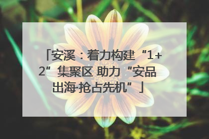 安溪：着力构建“1+2”集聚区 助力“安品出海·抢占先机”