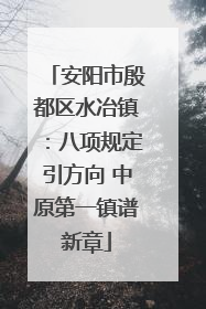 安阳市殷都区水冶镇：八项规定引方向 中原第一镇谱新章
