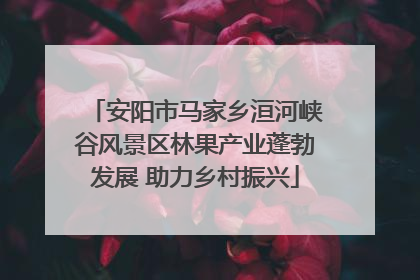安阳市马家乡洹河峡谷风景区林果产业蓬勃发展 助力乡村振兴