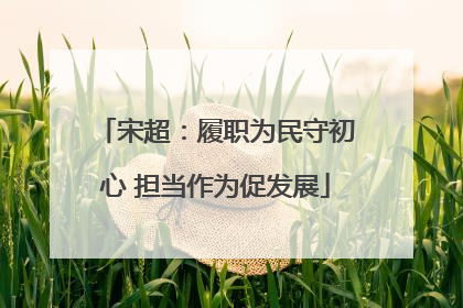 宋超：履职为民守初心 担当作为促发展