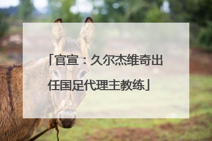 官宣：久尔杰维奇出任国足代理主教练
