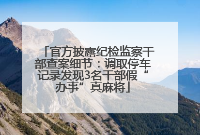 官方披露纪检监察干部查案细节：调取停车记录发现3名干部假“办事”真麻将