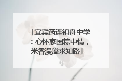 宜宾筠连镇舟中学：心怀家国粽中情，米香漫溢求知路