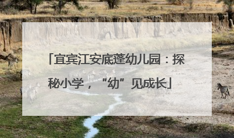 宜宾江安底蓬幼儿园：探秘小学，“幼”见成长