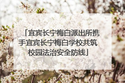 宜宾长宁梅白派出所携手宜宾长宁梅白学校共筑校园法治安全防线