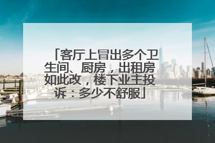 客厅上冒出多个卫生间、厨房，出租房如此改，楼下业主投诉：多少不舒服