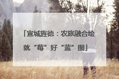 宣城旌德：农旅融合绘就“莓”好“蓝”图