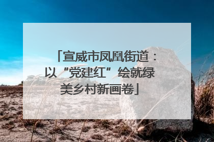 宣威市凤凰街道：以“党建红”绘就绿美乡村新画卷