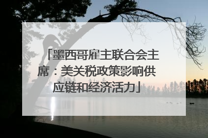 墨西哥雇主联合会主席：美关税政策影响供应链和经济活力