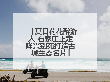 夏日荷花醉游人 石家庄正定隆兴别苑打造古城生态名片